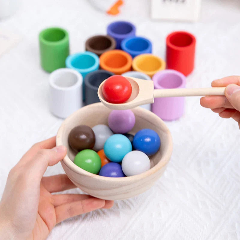 Montessori Wooden Sorting Toy for Toddlers