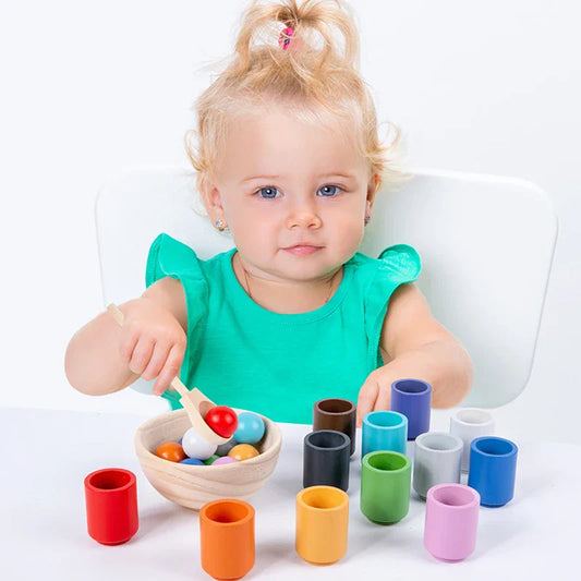 Montessori Wooden Sorting Toy for Toddlers